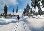 Bayerischer Wald