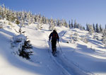 Bayerischer Wald