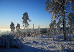 Bayerischer Wald